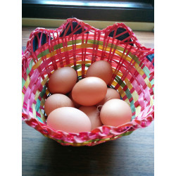 Eggs