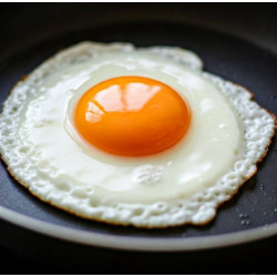 Farm-Fresh Free-Range Eggs  Sustainable & Delicious