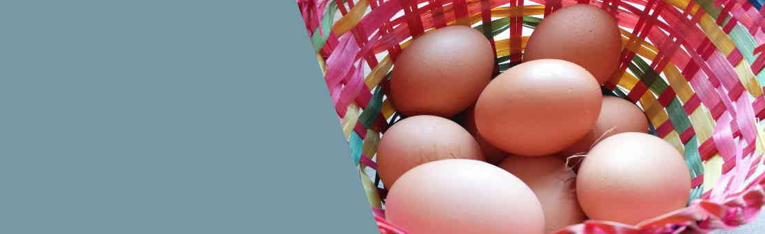 Farm-Fresh Eggs