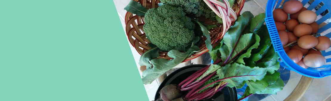 Veggies and Eggs